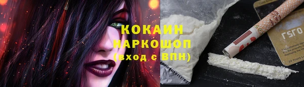 молекула духа Белоозёрский