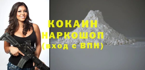 молекула духа Белоозёрский