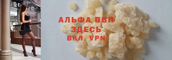 молекула духа Белоозёрский