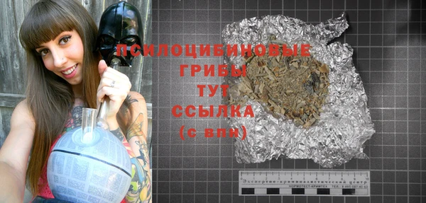 кокаин Белокуриха