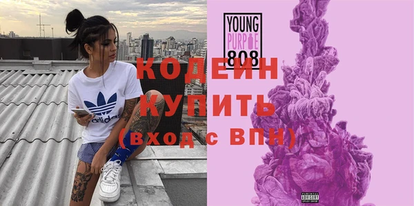 молекула духа Белоозёрский