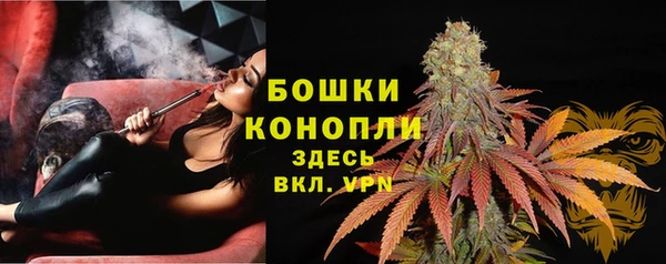 кокаин Белокуриха