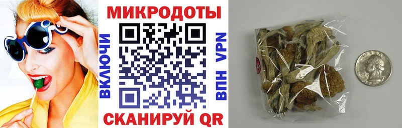 сколько стоит Ершов Галлюциногенные грибы мухоморы