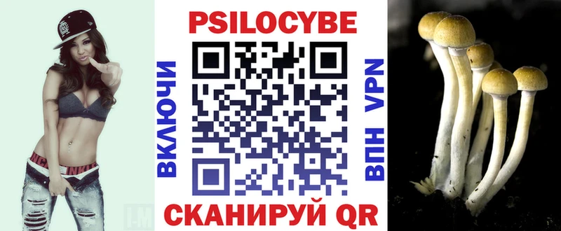 Галлюциногенные грибы прущие грибы Ершов